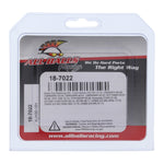 All Balls Racing Brake Pin Kit (18-7022)
