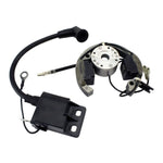 Stator + Rotor + Ignition Coil Kit (RMS900-107608)