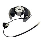 Stator + Rotor + Ignition Coil Kit (RMS900-107608)