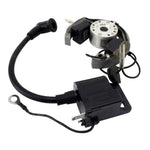Stator + Rotor + Ignition Coil Kit (RMS900-107608)