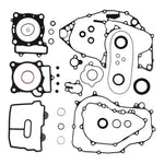 Complete Gasket Set with Oil Seals 8110050