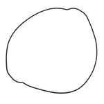 Outer Clutch Gasket Kit 819047