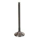 VERTEX VALVE EXHAUST TITANIUM